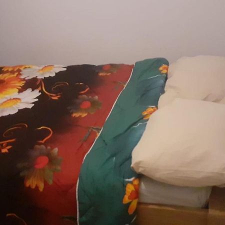 Lovely 1 Private Bedroom With Garden View Rotterdam Kültér fotó